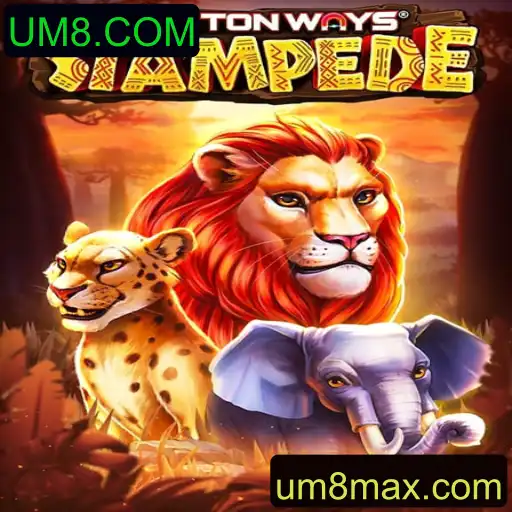 Descubra o Emocionante Mundo de TenTonWaysStampede no UM8.COM